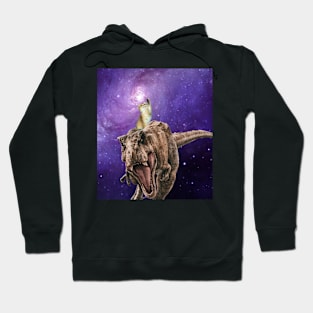 a cat riding a dinosaur at the sky! Hoodie